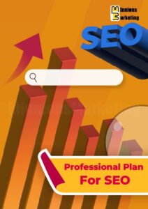 Professional Plan for SEO