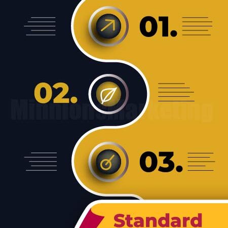 Standard Infographic Design Plan