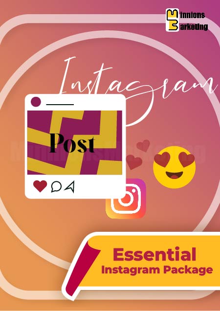 Essential Instagram Package