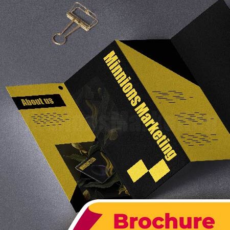 Brochure