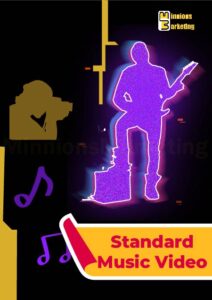 Standard Music Video Plan