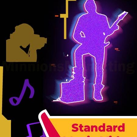 Standard Music Video Plan