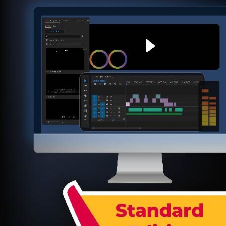 Standard Video Editing