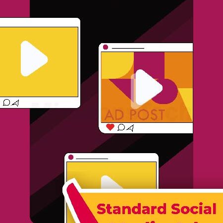 Standard Social Media Ads Plan
