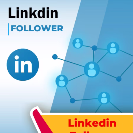 Linkedin Follower - Minnions Marketing